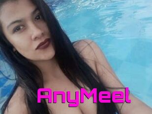 AnyMeel