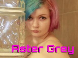 Aster_Grey