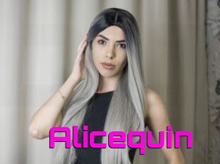 Alicequin