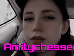 Amitychesser