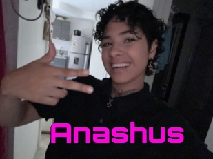 Anashus