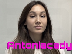 Antoniacady