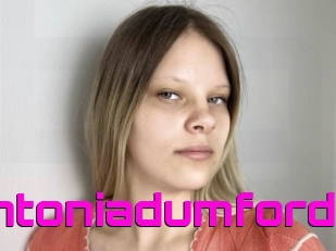 Antoniadumford