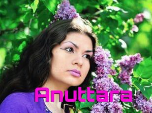 Anuttara