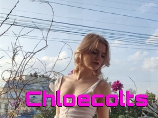 Chloecolts