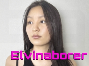 Elvinaborer
