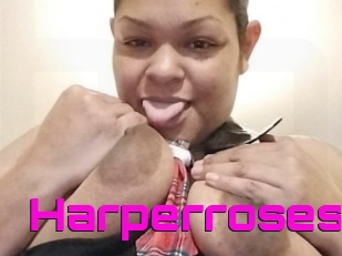 Harperroses