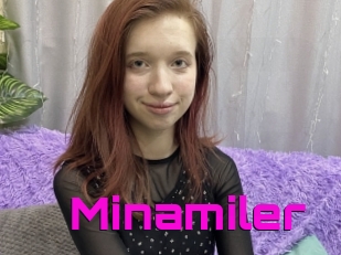 Minamiler