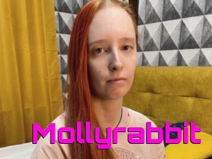 Mollyrabbit