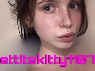 Pettitekitty1107