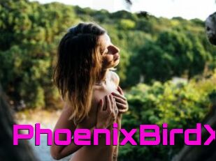 PhoenixBirdX