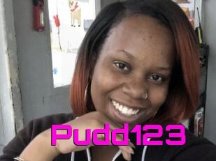 Pudd123