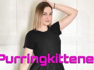 Purringkittene