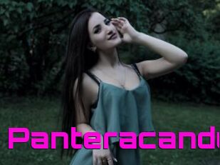 Panteracandy