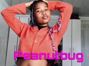 Peanutbug