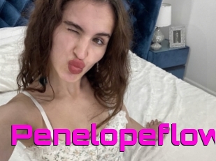 Penelopeflow