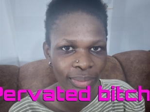 Pervated_bitch