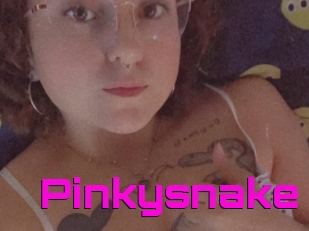 Pinkysnake