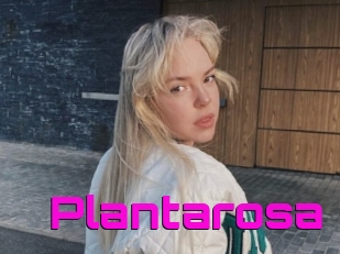 Plantarosa