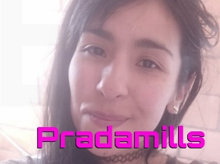 Pradamills