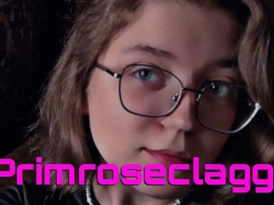 Primroseclagg