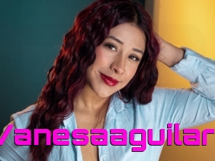 Vanesaaguilar